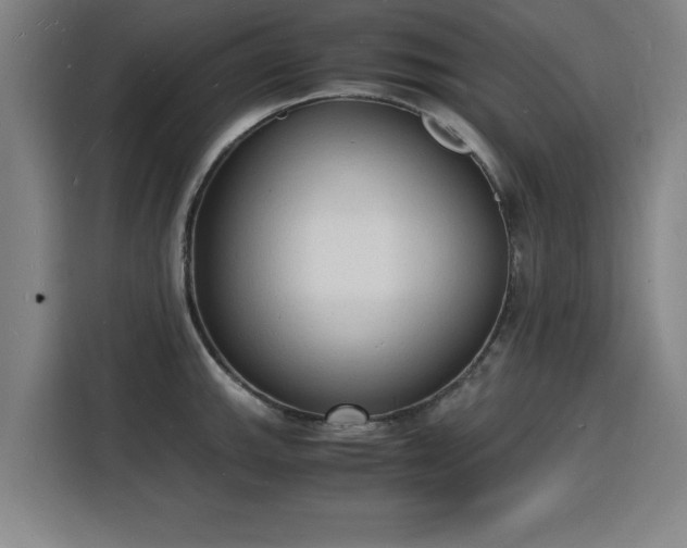 X0000115841143200911201547