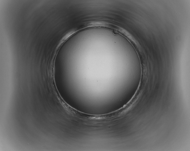 X0000115841145200911201547