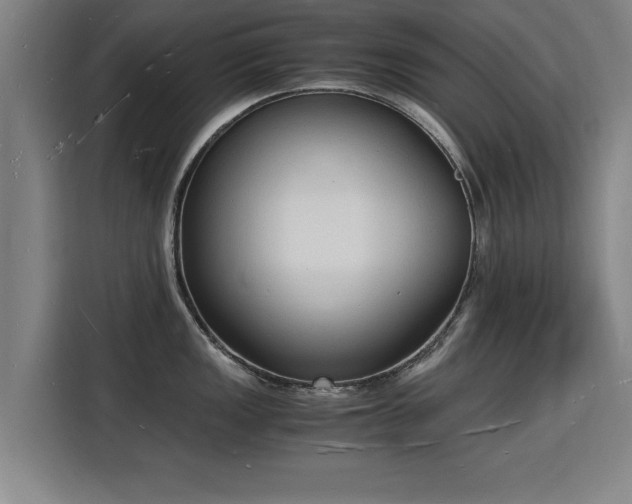 X0000115841149200911201547