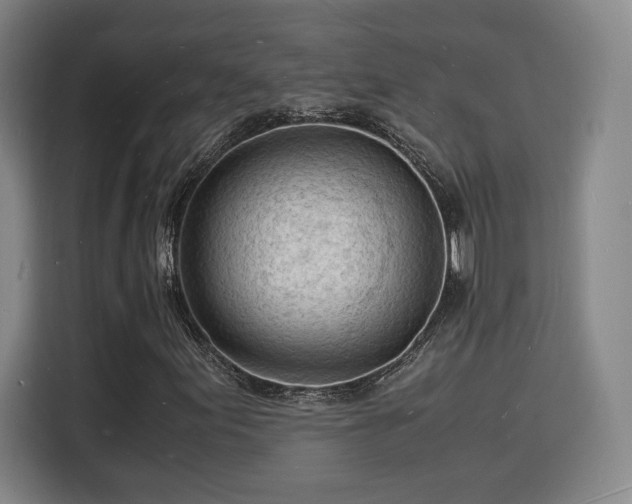 X0000115841155200911201547