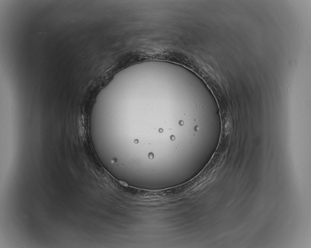 X0000115841156200911201547