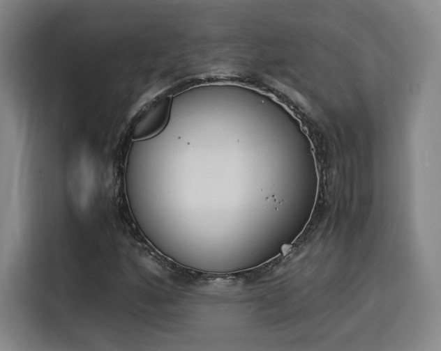 X0000115841160200911201547