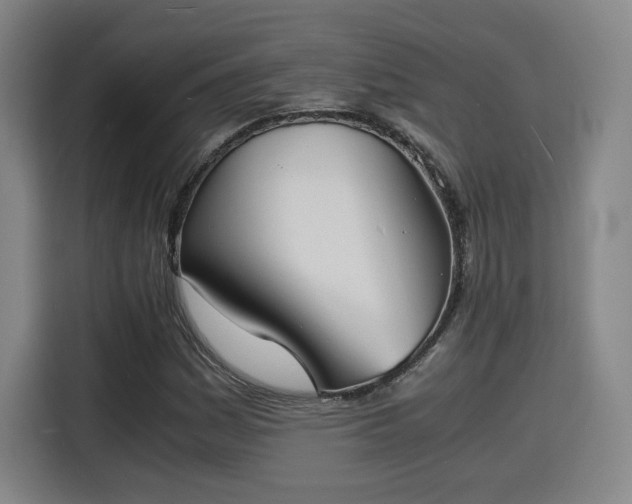 X0000115841161200911201547