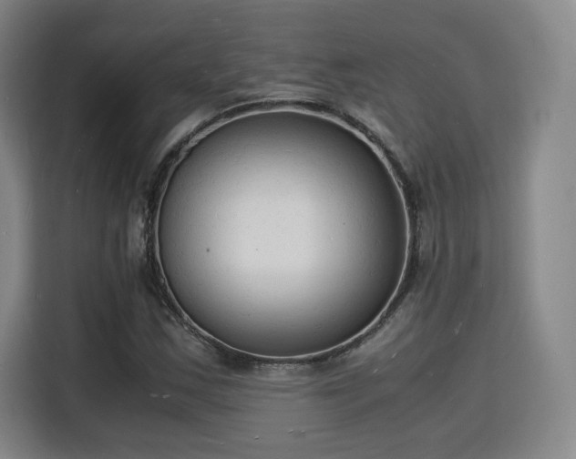 X0000115841163200911201547