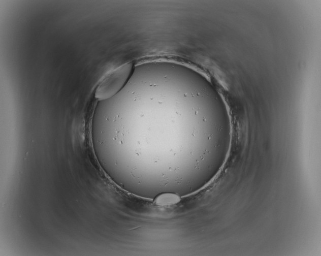 X0000115841165200911201547