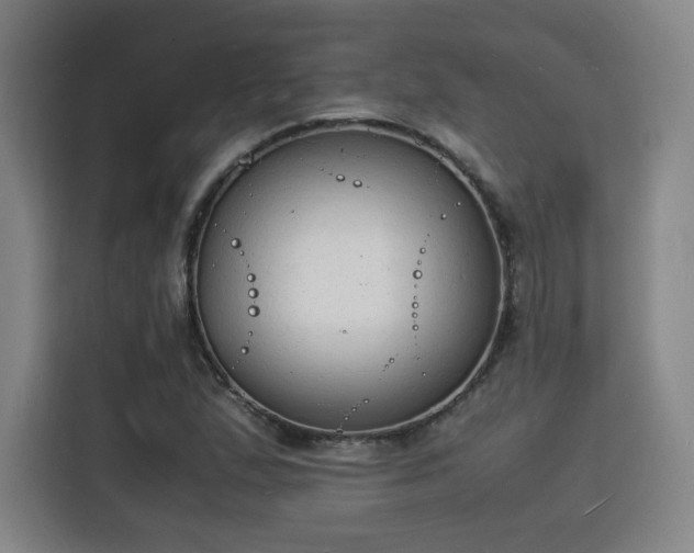 X0000115841167200911201547