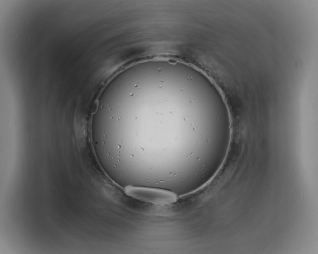 X0000115841169200911201547