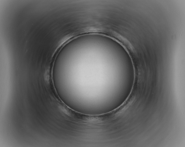 X0000115841170200911201547