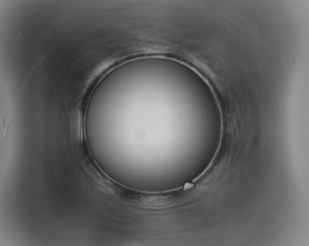 X0000115841171200911201547