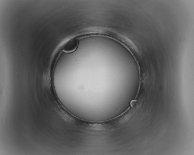 X0000115841172200911201547