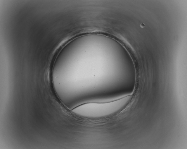 X0000115841173200911201547