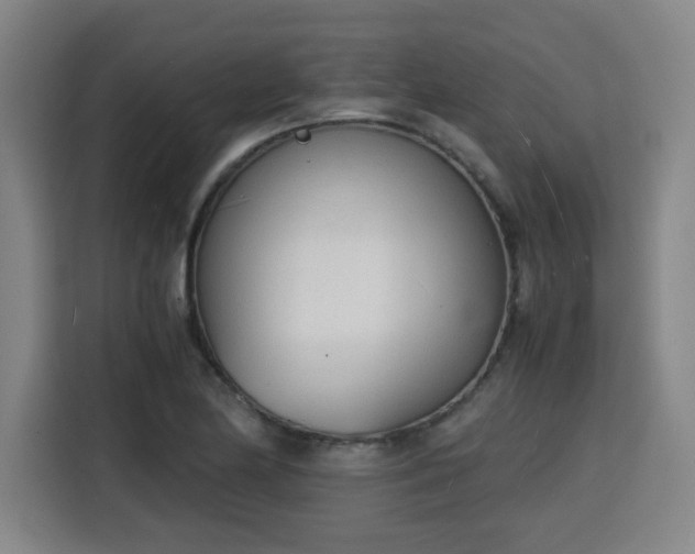 X0000115841174200911201547
