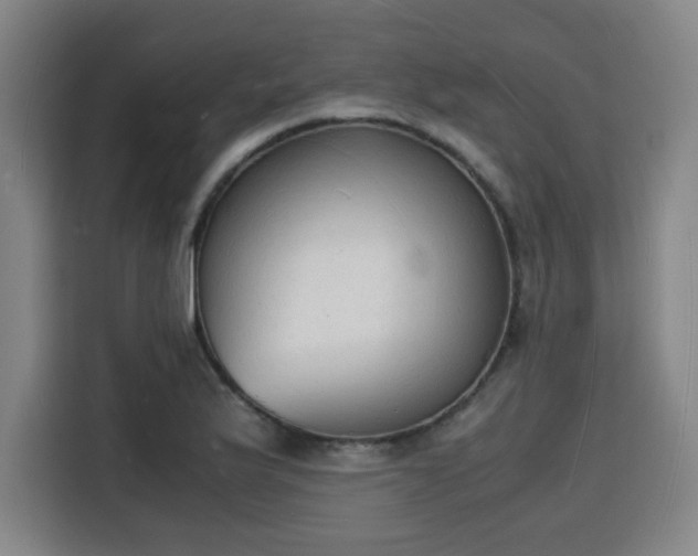 X0000115841175200911201547