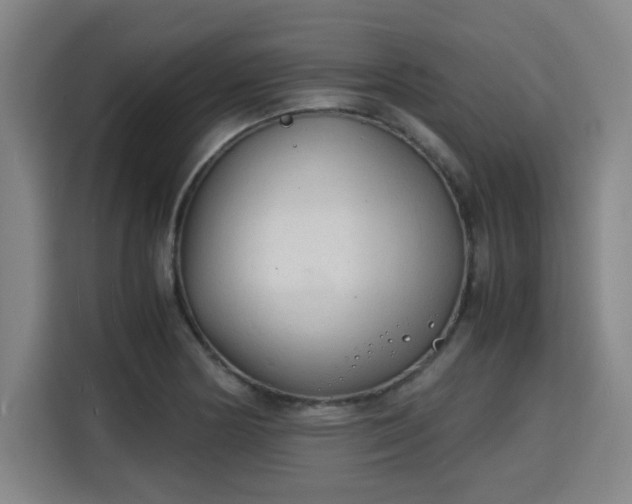 X0000115841178200911201547