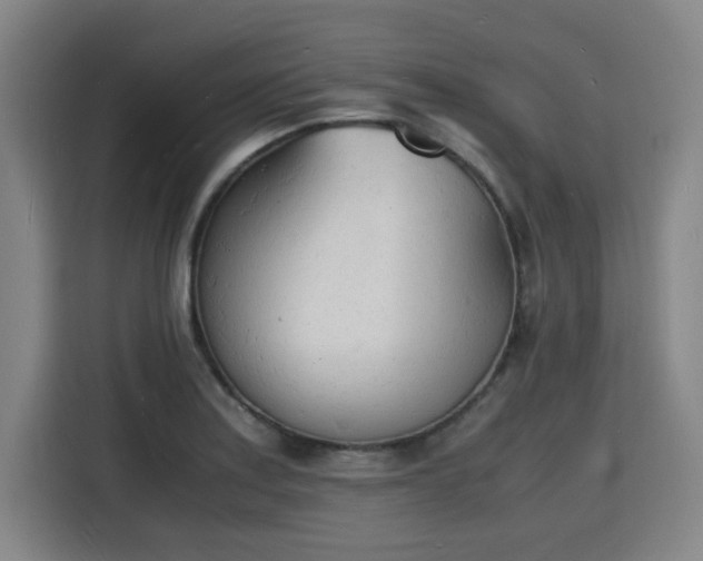 X0000115841179200911201547