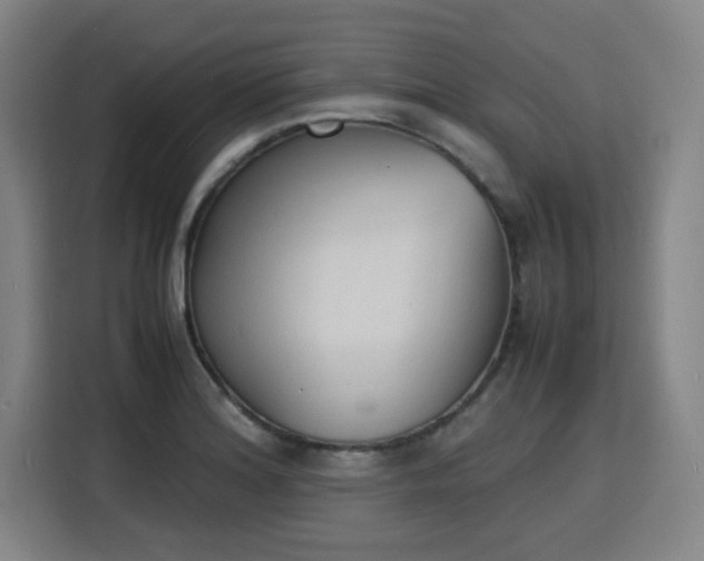 X0000115841180200911201547