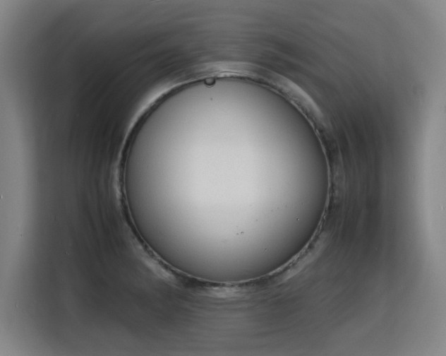 X0000115841182200911201547
