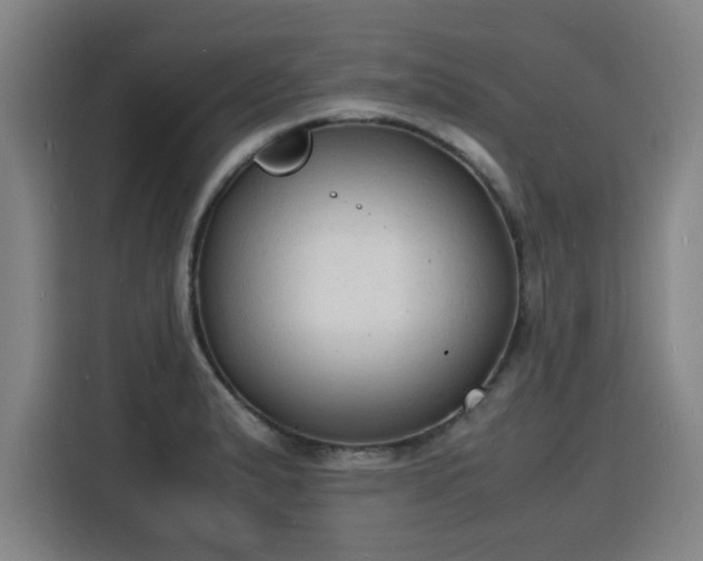 X0000115841183200911201546