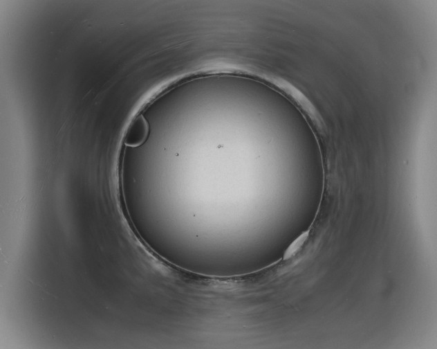 X0000115841191200911201546