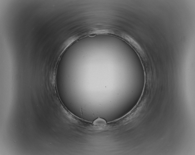 X0000115841193200911201546