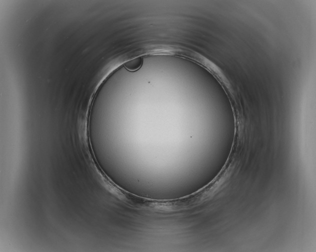 X0000115841194200911201546