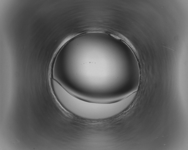 X0000115841195200911201546
