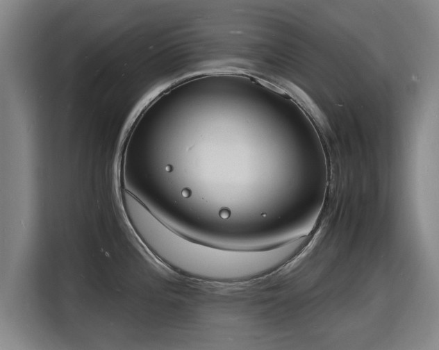 X0000115841196200911201546