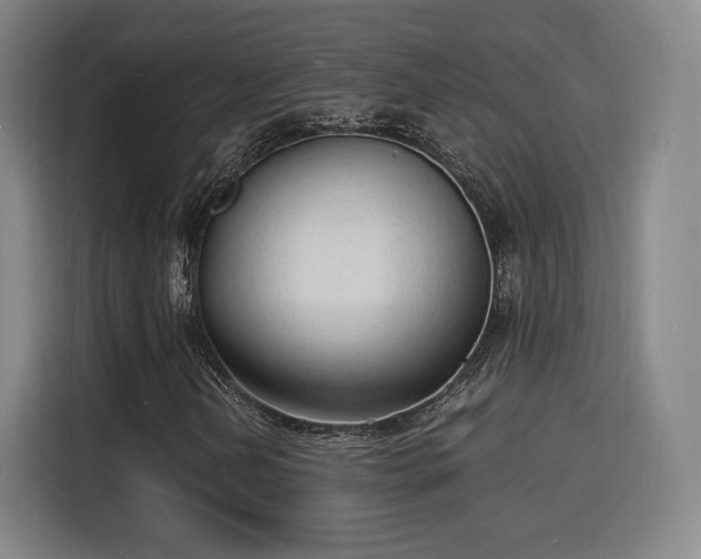 X0000115841202200911201546