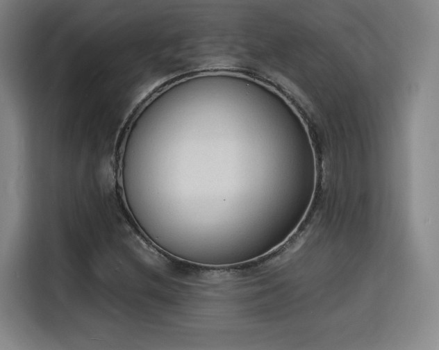 X0000115841212200911201546