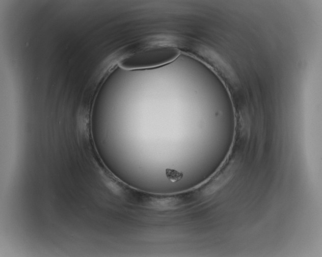 X0000115841225200911201546