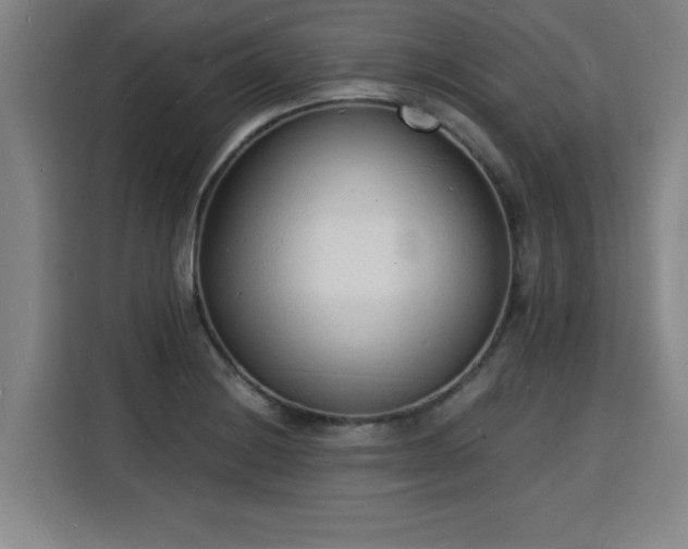 X0000115841228200911201546