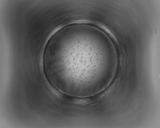 X0000115841229200911201546