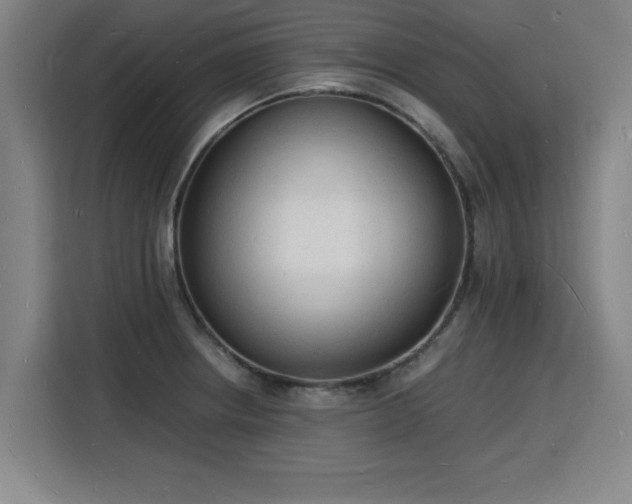 X0000115841234200911201546