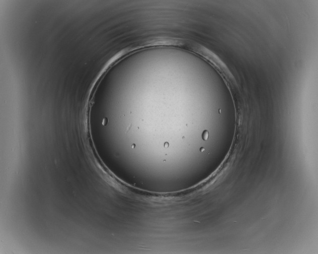 X0000115841236200911201546