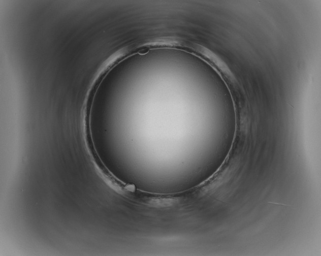 X0000115841237200911201546