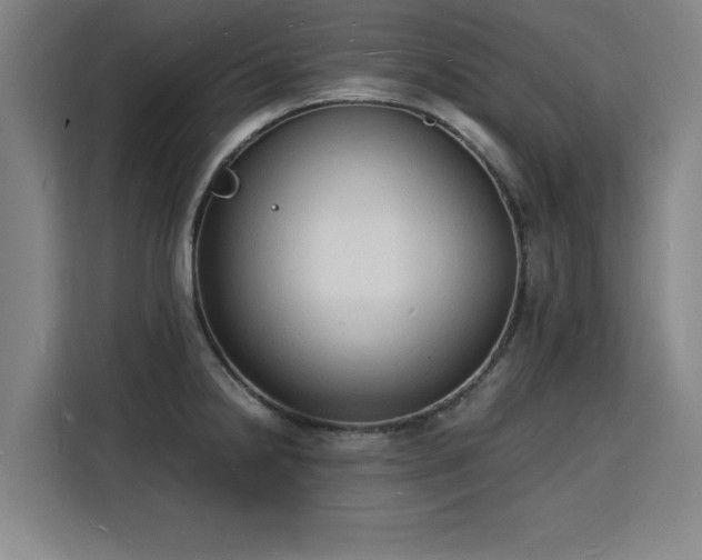 X0000115841238200911201546