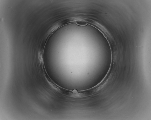 X0000115841241200911201546