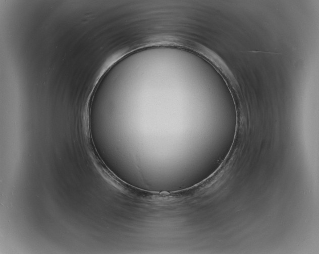 X0000115841242200911201546