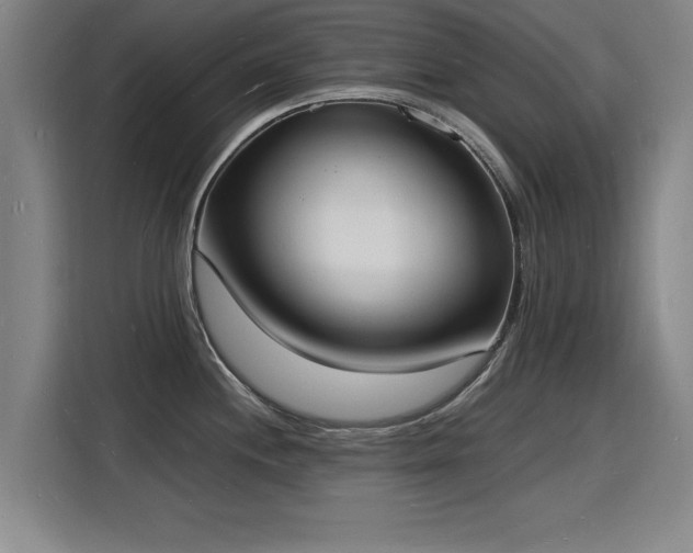 X0000115841244200911201546