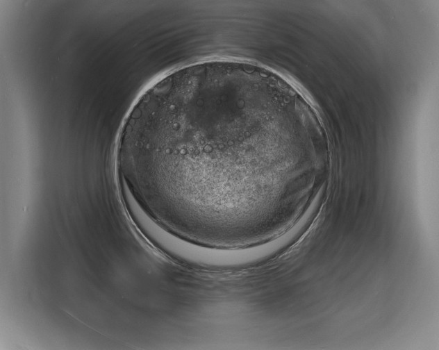X0000115841246200911201546