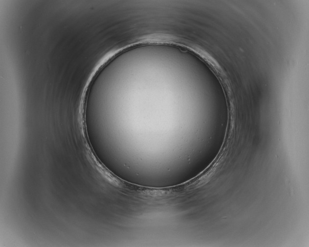 X0000115841248200911201546