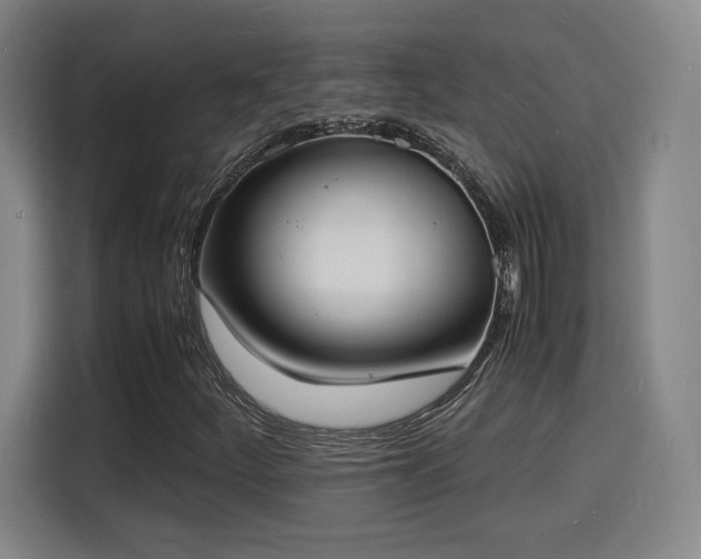 X0000115841252200911201546