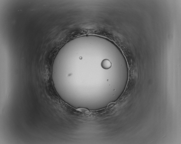 X0000115841253200911201546