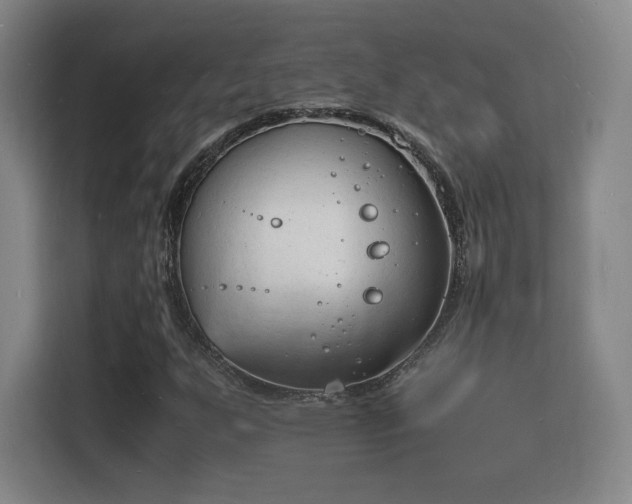 X0000115841255200911201546