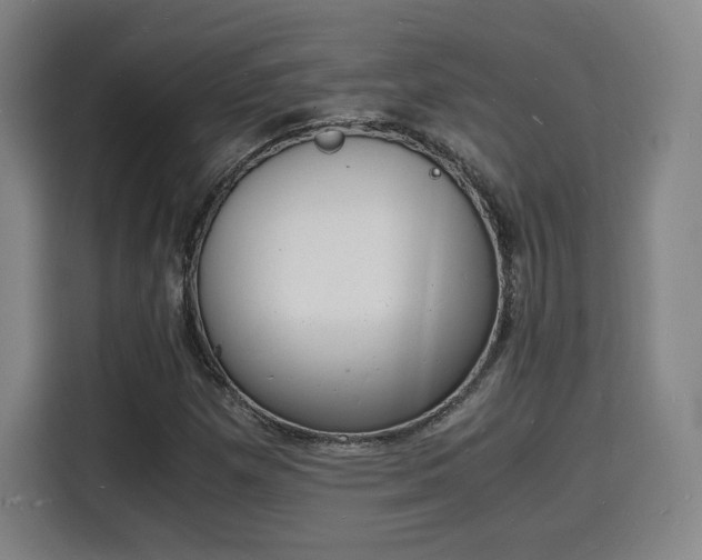 X0000115841257200911201546