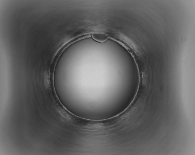 X0000115841260200911201546