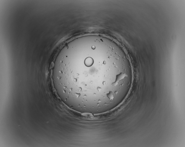 X0000115841261200911201545