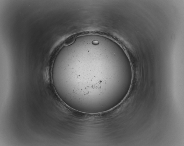 X0000115841262200911201545