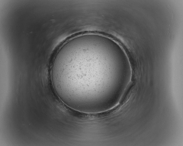 X0000115841263200911201545