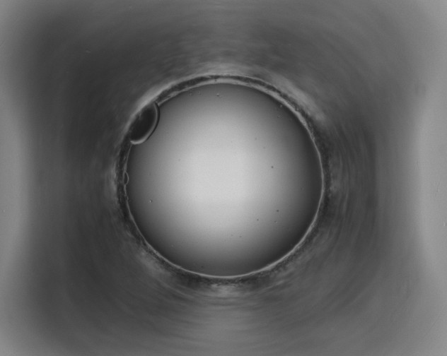 X0000115841264200911201545